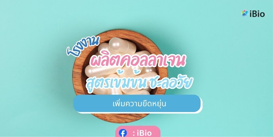 โรงงานผลิตคอลลาเจน สูตรเข้มข้น ชะลอวัย เพิ่มความยืดหยุ่น